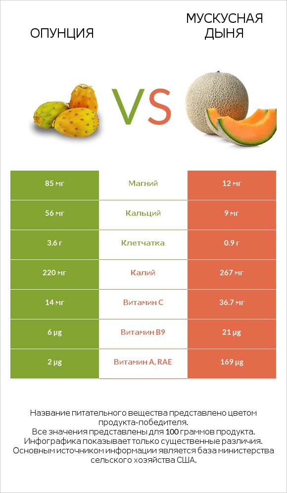 Опунция vs Мускусная дыня infographic