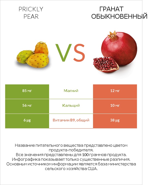 Prickly pear vs Гранат обыкновенный infographic