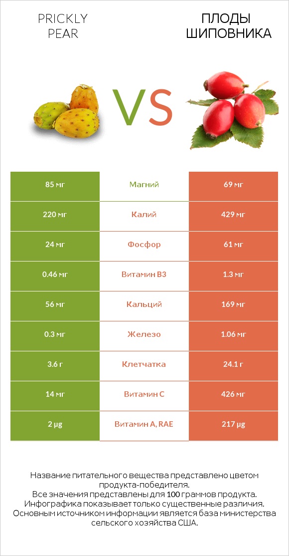 Prickly pear vs Плоды шиповника infographic