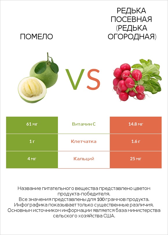 Помело vs Редька посевная (Редька огородная) infographic