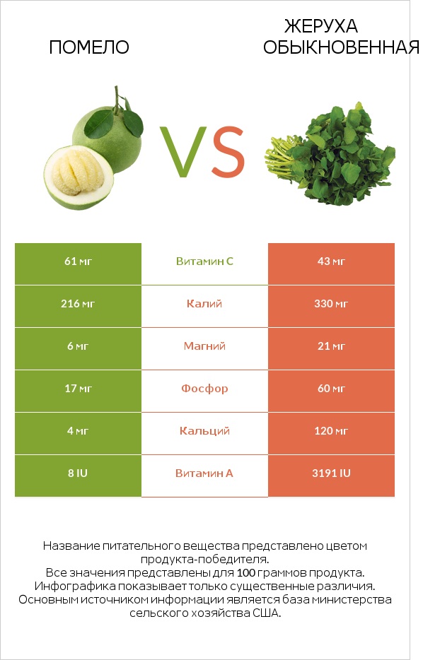 Помело vs Жеруха обыкновенная infographic