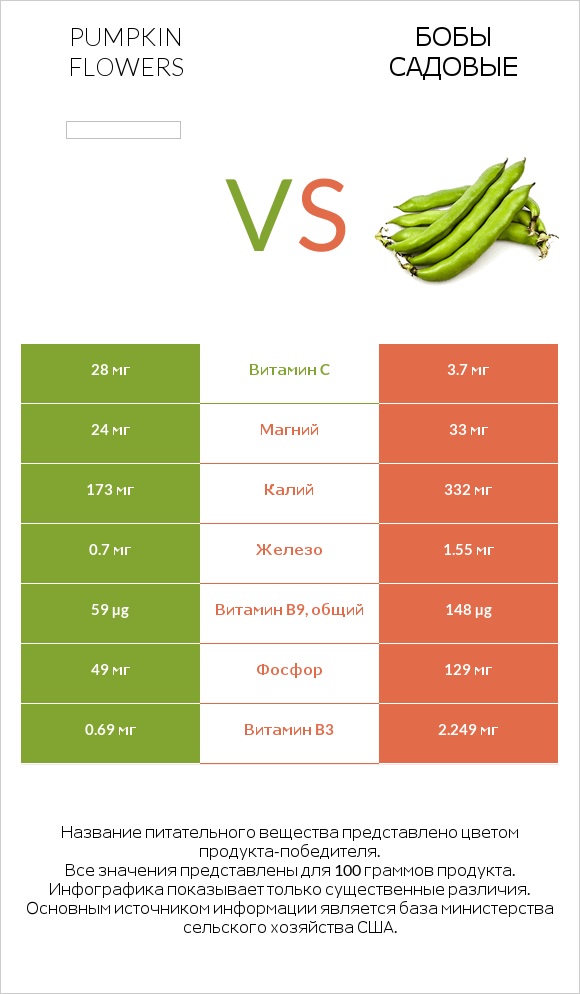 Pumpkin flowers vs Бобы садовые infographic