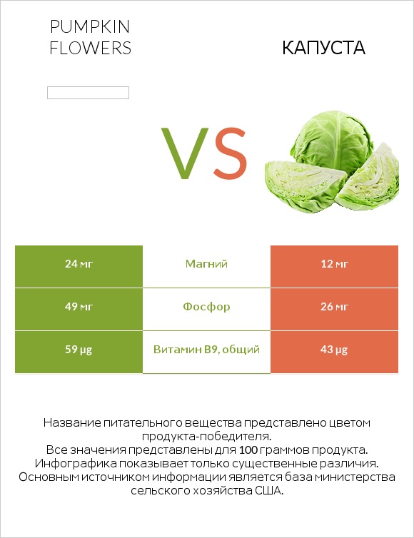 Pumpkin flowers vs Капуста infographic