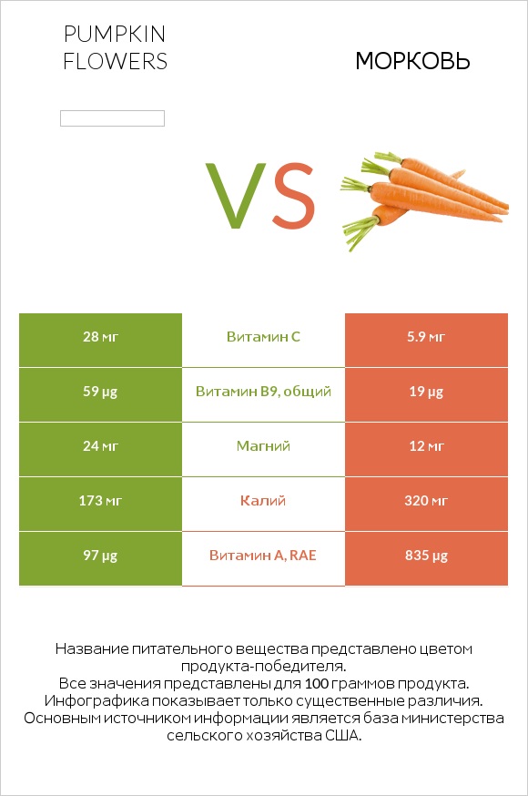 Pumpkin flowers vs Морковь infographic