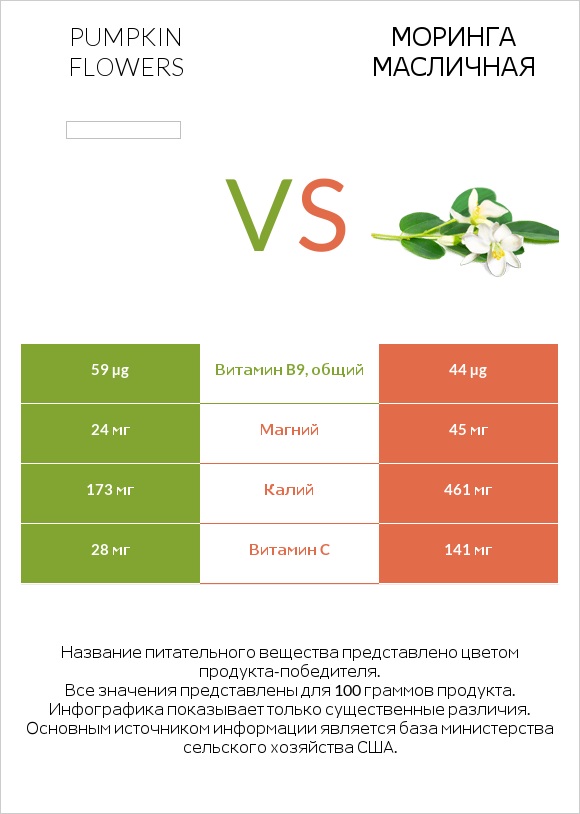 Pumpkin flowers vs Моринга масличная infographic