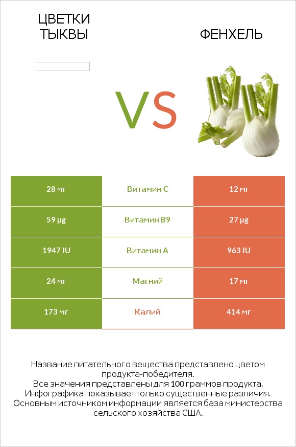 Цветки тыквы vs Фенхель infographic