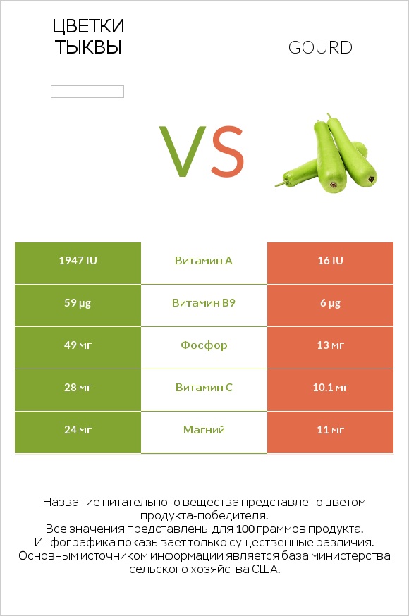 Цветки тыквы vs Gourd infographic