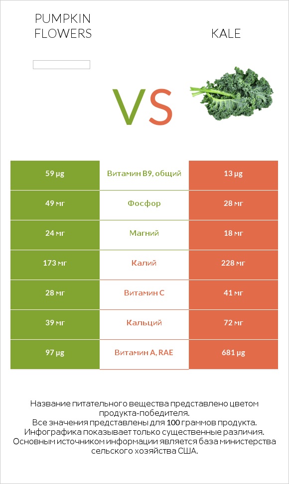 Pumpkin flowers vs Kale infographic