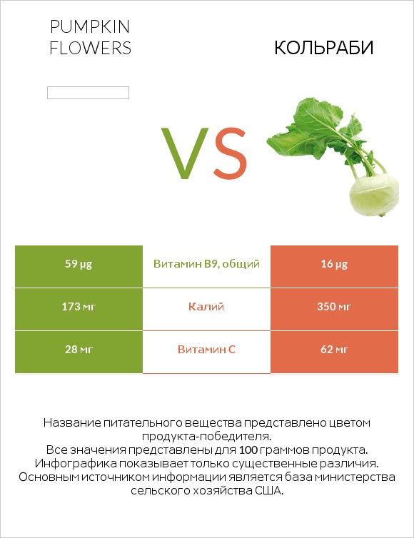 Pumpkin flowers vs Кольраби infographic
