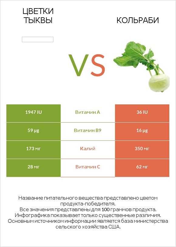 Pumpkin flowers vs Кольраби infographic