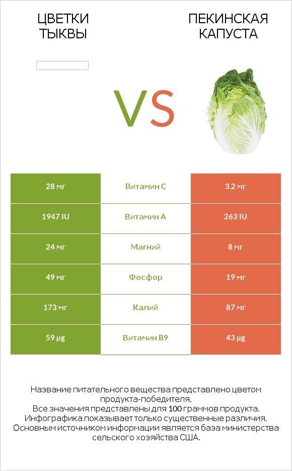 Pumpkin flowers vs Пекинская капуста infographic