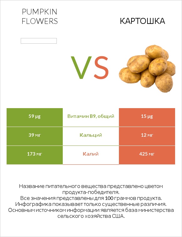 Pumpkin flowers vs Картошка infographic