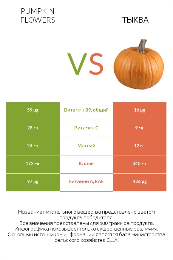 Pumpkin flowers vs Тыква infographic