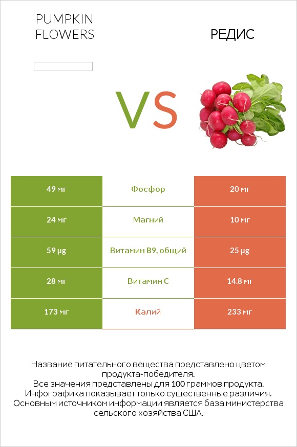 Pumpkin flowers vs Редис infographic