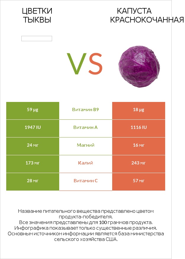 Цветки тыквы vs Капуста краснокочанная infographic