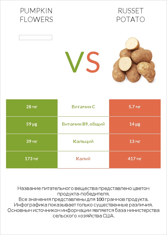 Pumpkin flowers vs Russet potato infographic