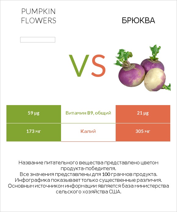 Pumpkin flowers vs Брюква infographic