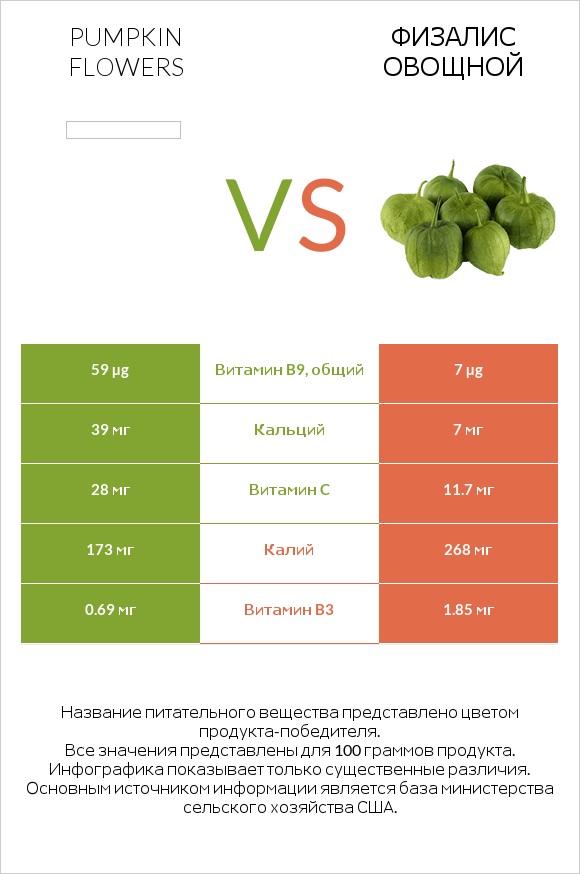 Pumpkin flowers vs Физалис овощной infographic