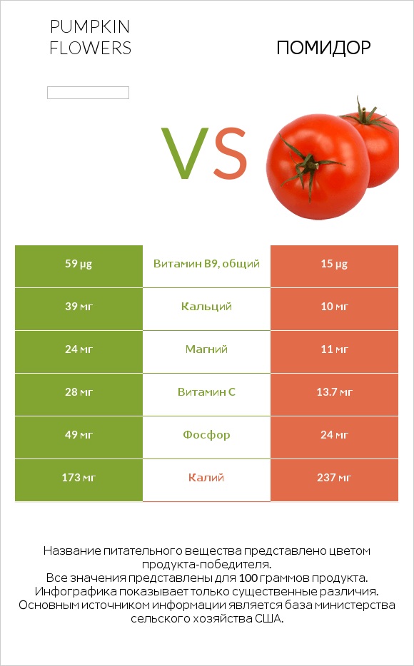 Pumpkin flowers vs Помидор infographic