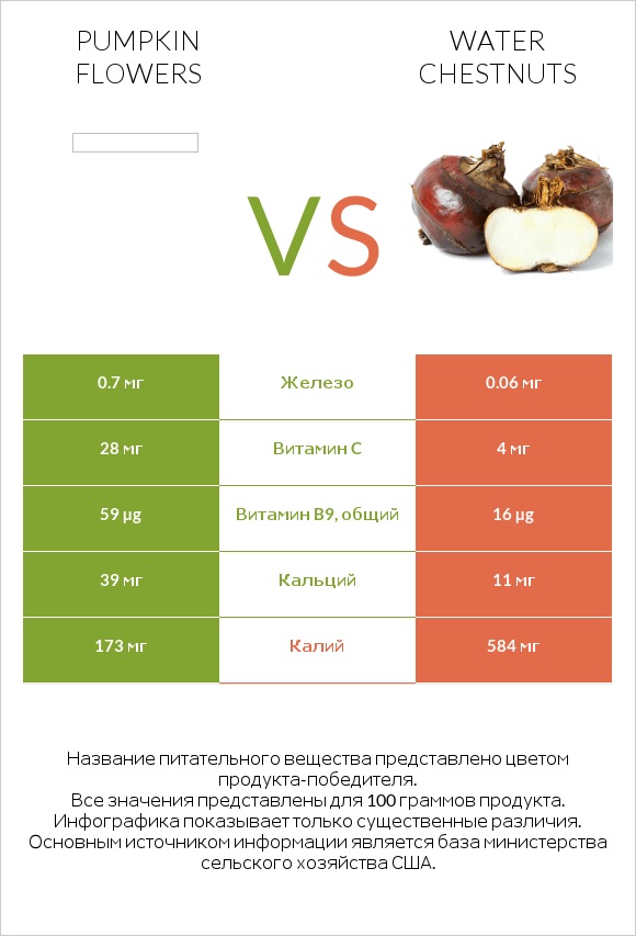 Pumpkin flowers vs Water chestnuts infographic