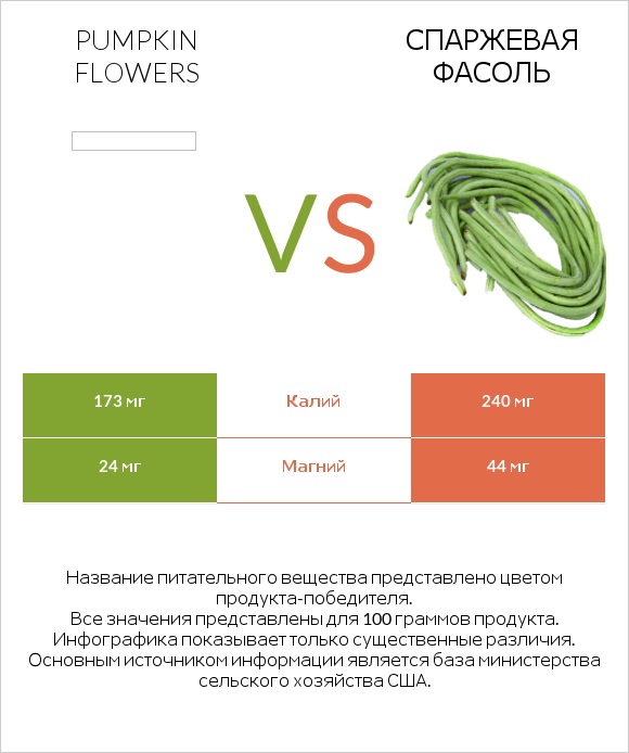 Pumpkin flowers vs Спаржевая фасоль infographic