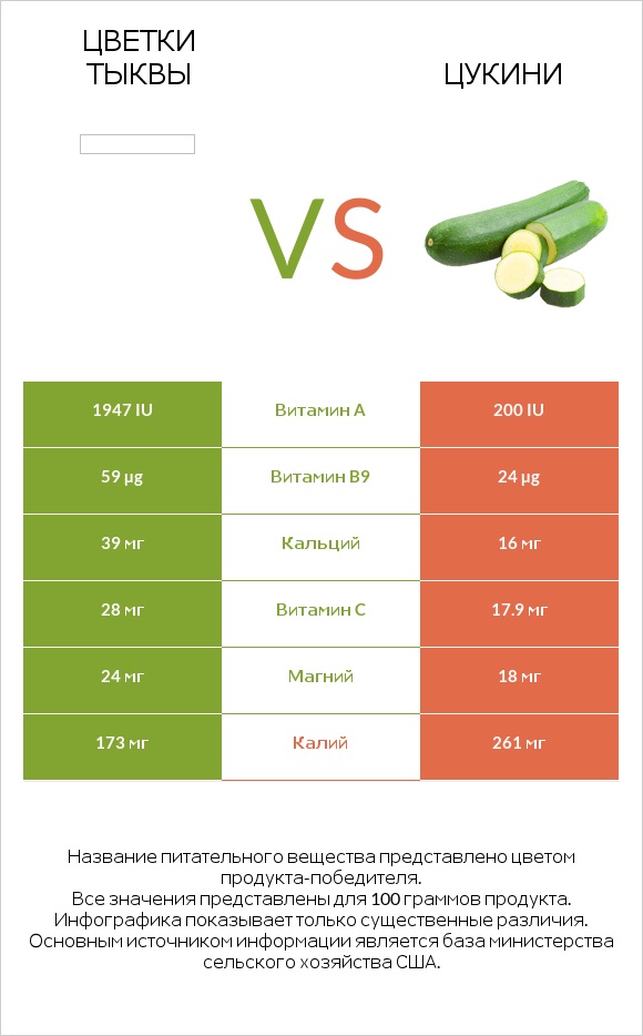 Pumpkin flowers vs Цукини infographic