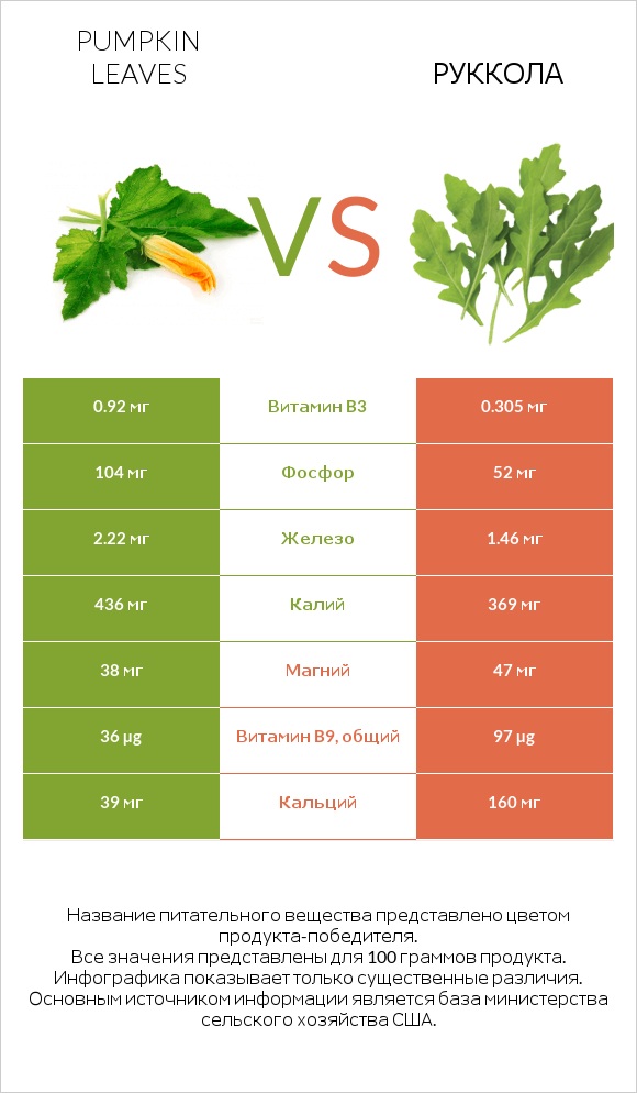 Листья тыквы vs Руккола infographic