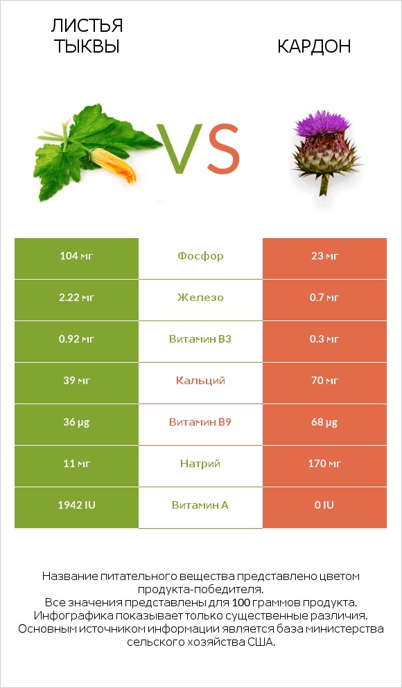 Pumpkin leaves vs Cardoon infographic