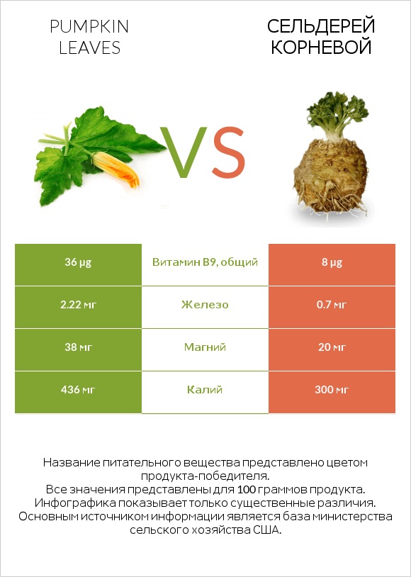 Pumpkin leaves vs Сельдерей корневой infographic