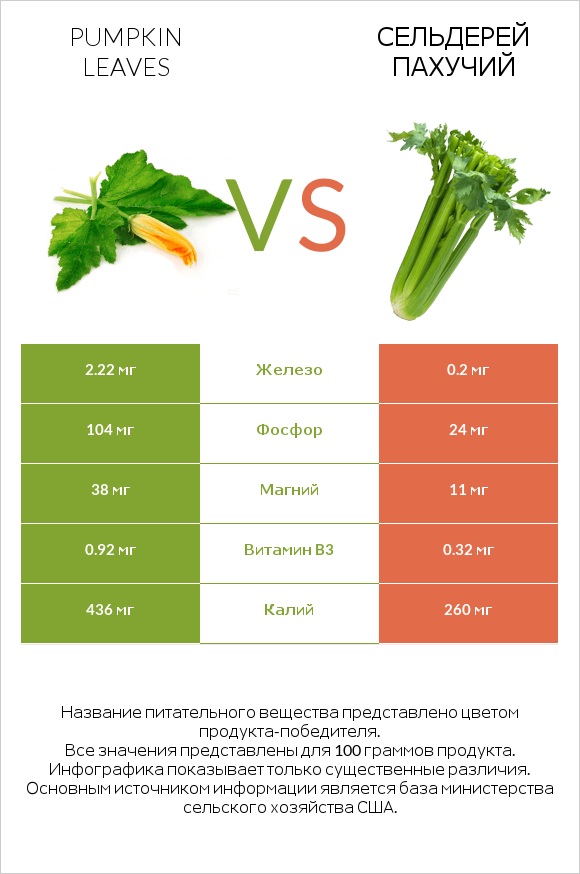 Листья тыквы vs Сельдерей пахучий infographic