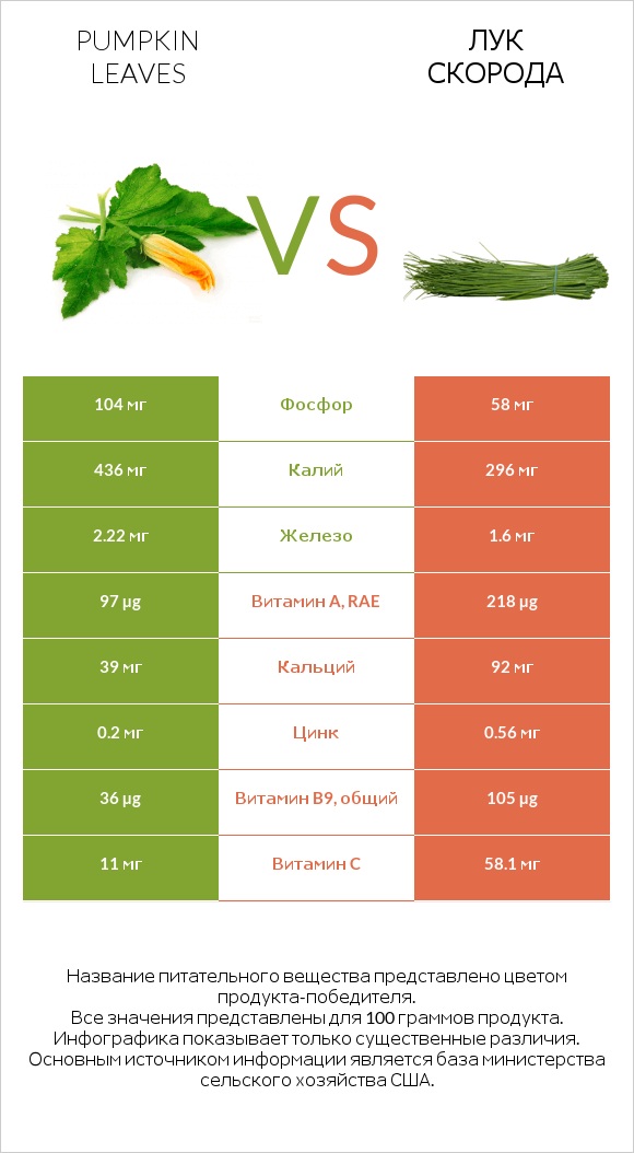 Pumpkin leaves vs Лук скорода infographic