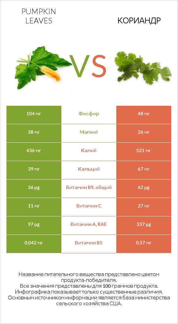 Листья тыквы vs Кориандр infographic