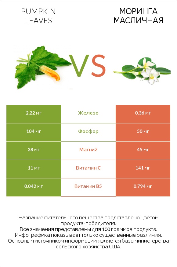 Pumpkin leaves vs Моринга масличная infographic