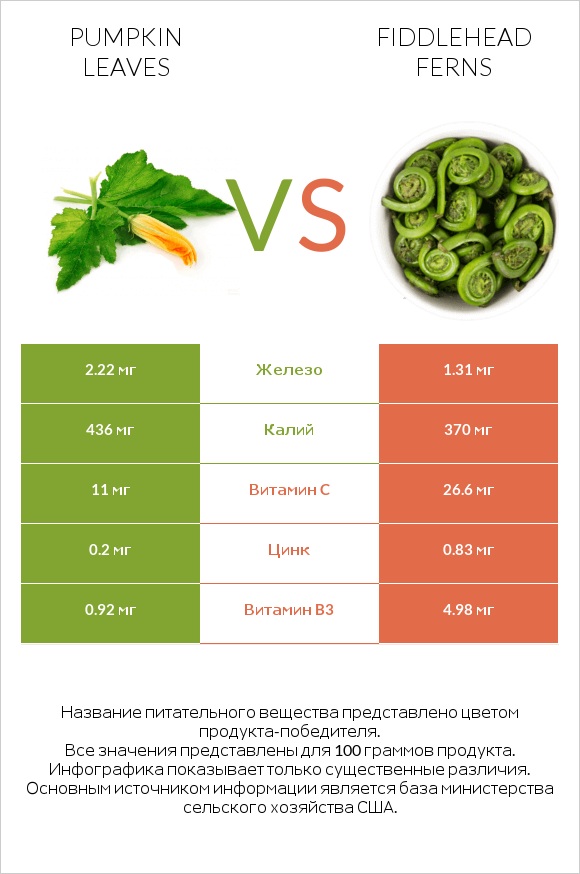 Pumpkin leaves vs Fiddlehead ferns infographic