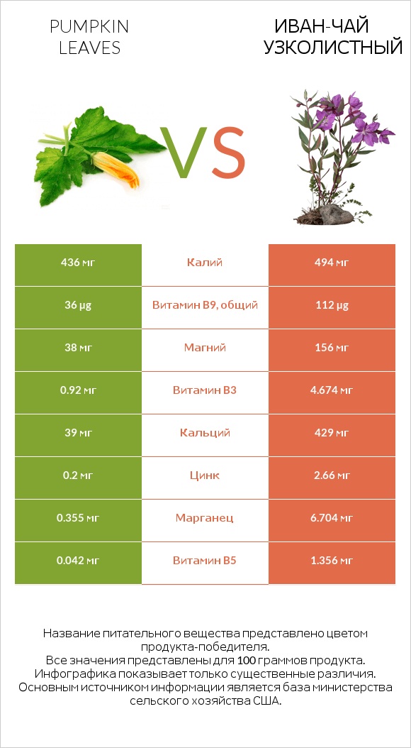 Листья тыквы vs Иван-чай узколистный infographic