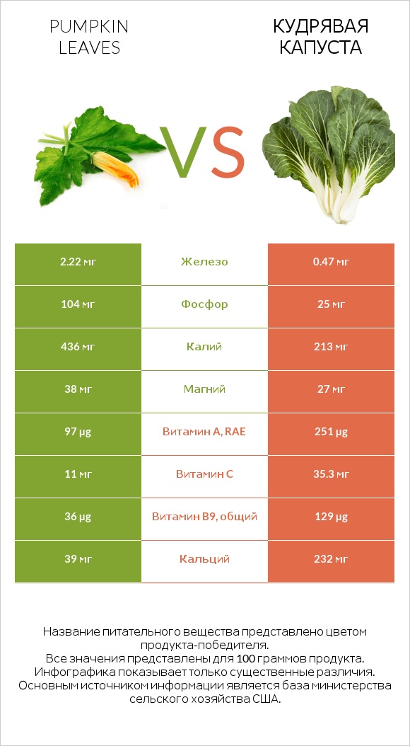 Листья тыквы vs Кудрявая капуста infographic