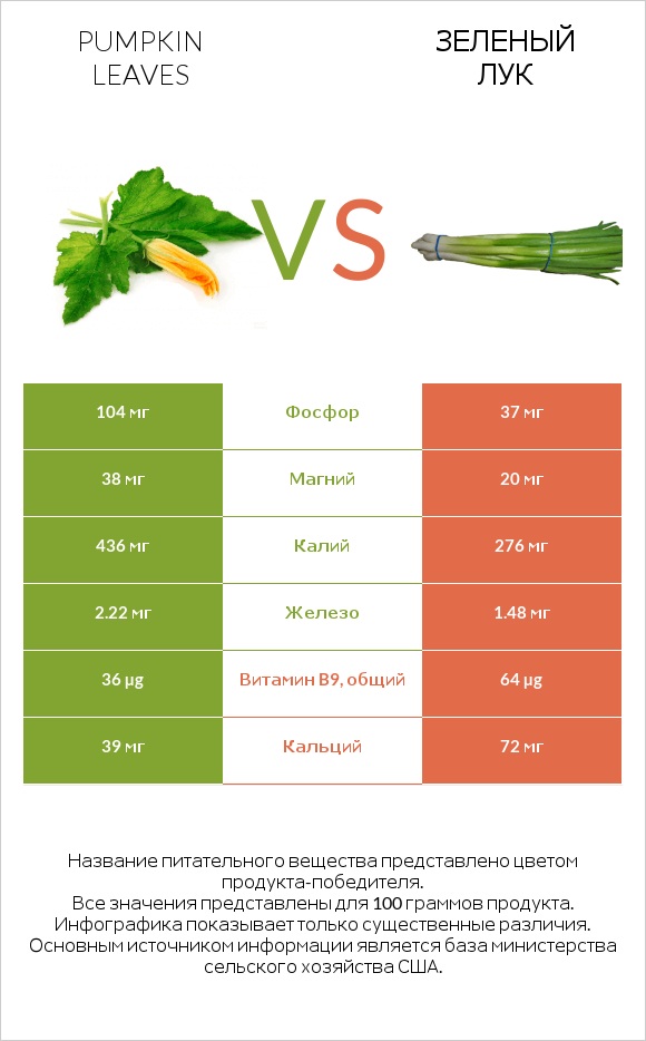 Листья тыквы vs Зеленый лук infographic