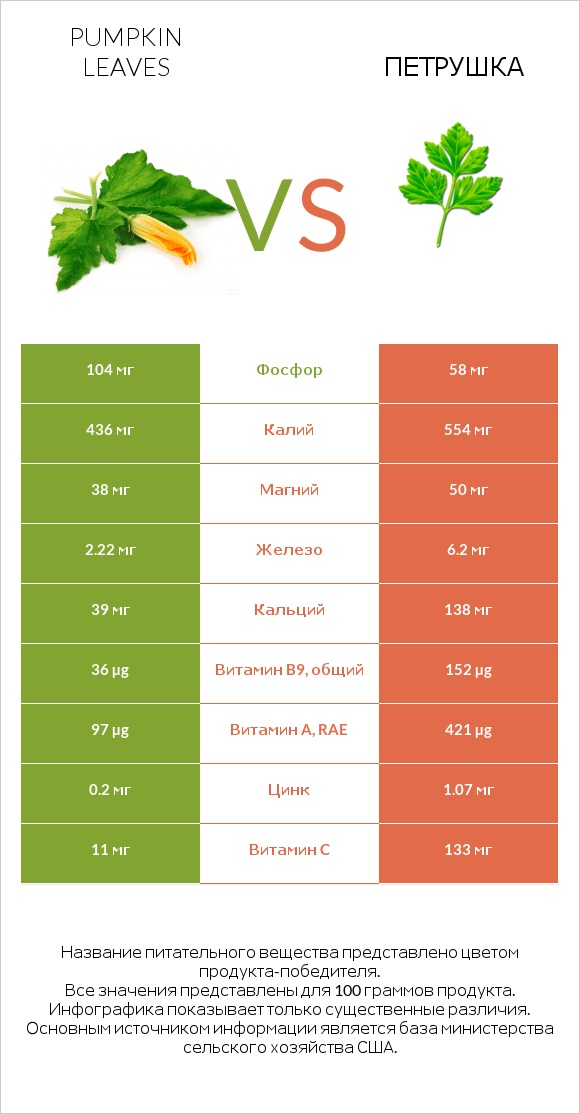 Листья тыквы vs Петрушка infographic