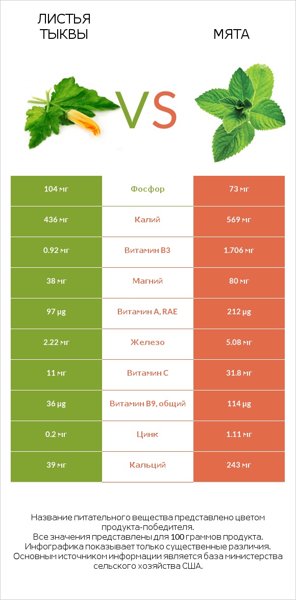 Листья тыквы vs Мята infographic