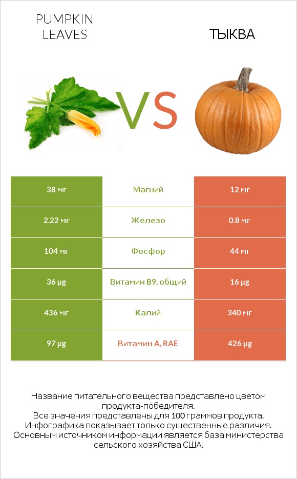Pumpkin leaves vs Тыква infographic