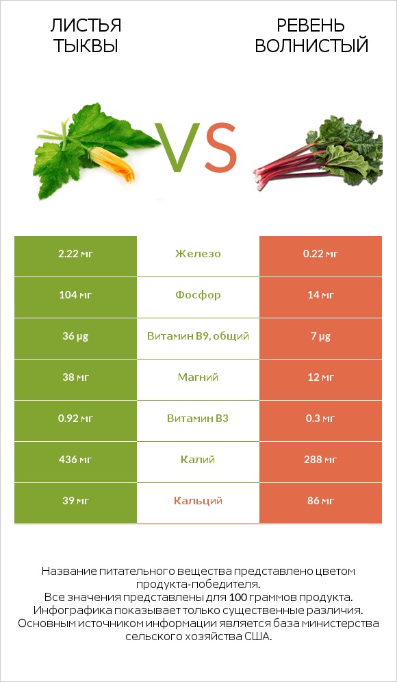 Листья тыквы vs Ревень волнистый infographic