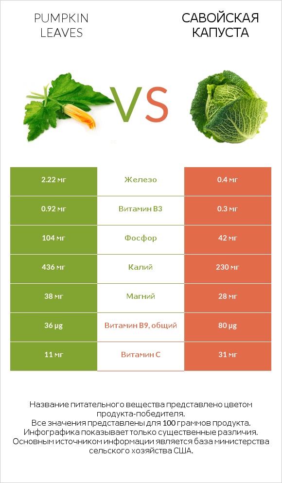 Pumpkin leaves vs Савойская капуста infographic