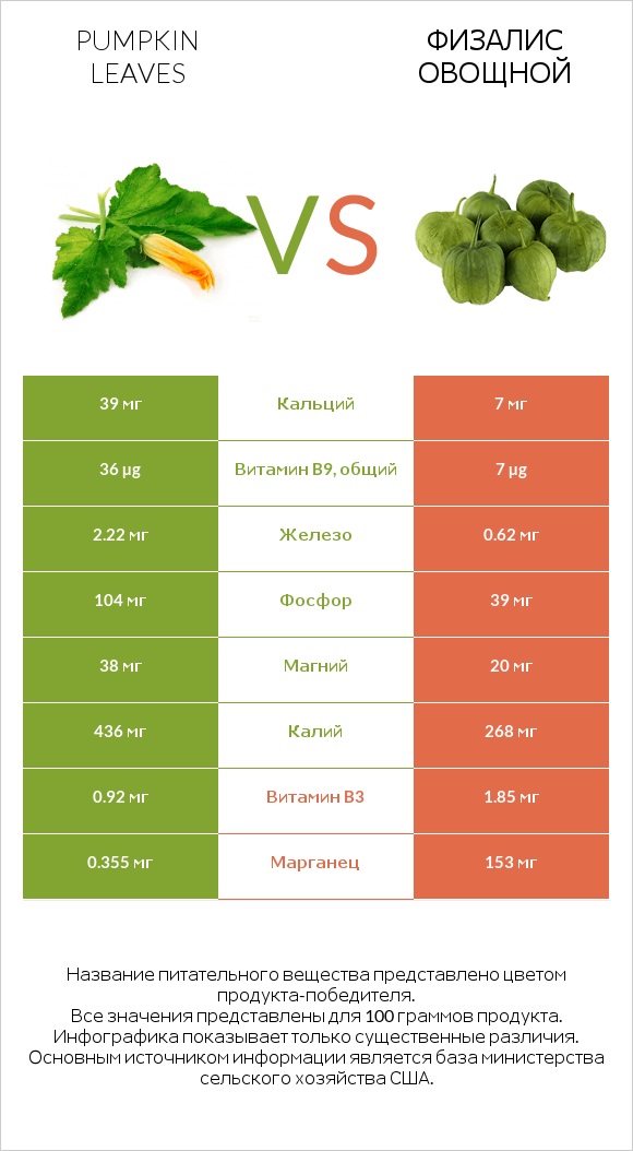 Pumpkin leaves vs Физалис овощной infographic