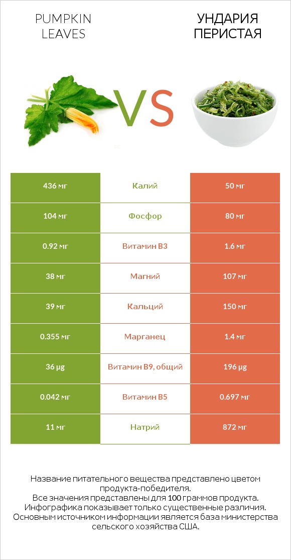Pumpkin leaves vs Ундария перистая infographic