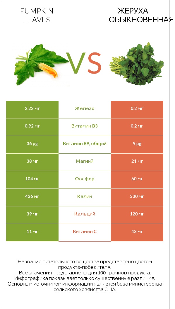 Листья тыквы vs Жеруха обыкновенная infographic