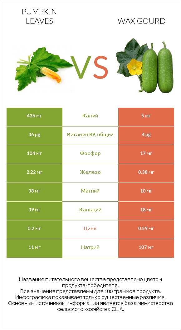 Pumpkin leaves vs Wax gourd infographic