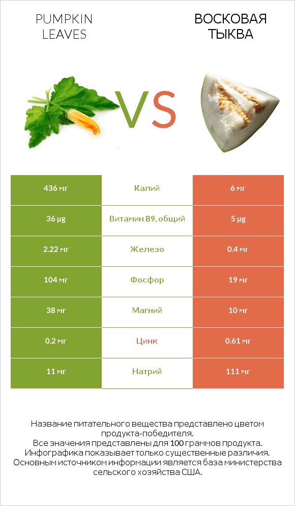 Pumpkin leaves vs Восковая тыква infographic