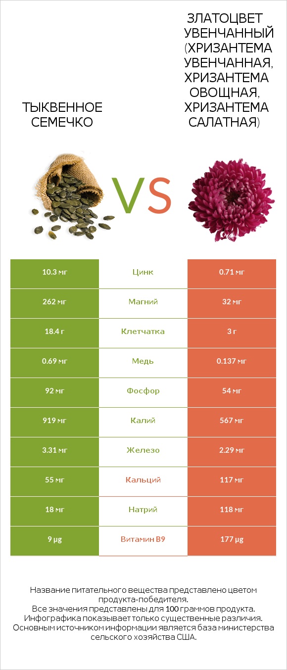 Тыквенное семечко vs Златоцвет увенчанный (хризантема увенчанная, хризантема овощная, хризантема салатная) infographic