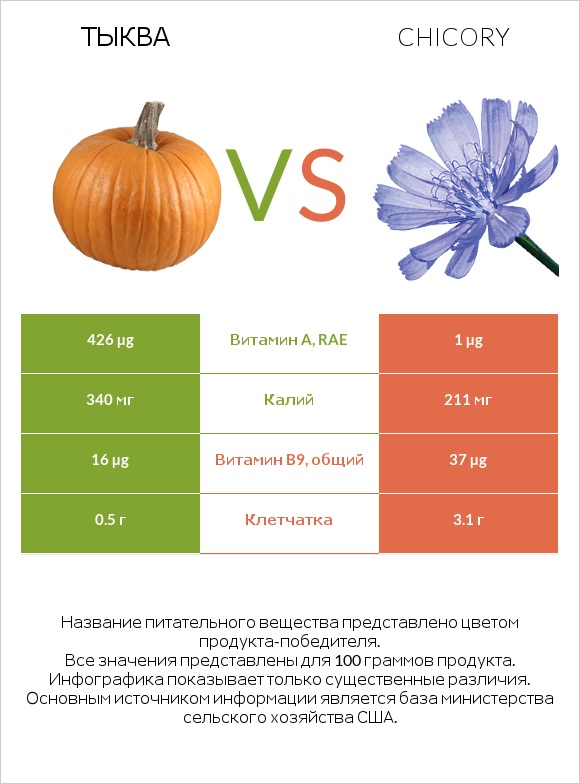 Тыква vs Chicory infographic