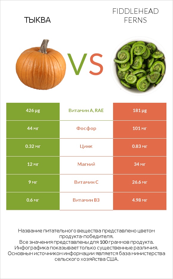 Тыква vs Fiddlehead ferns infographic